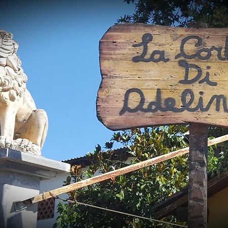 La Corte Di Adelina B&B Ravarino Esterno foto